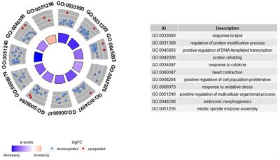 Feed efficiency in dairy sheep: An insight from the milk transcriptome